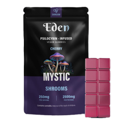 Shroom Gummies – 250mg (2.5g total)