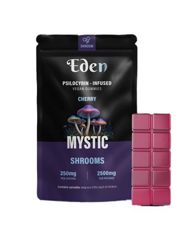 Shroom Gummies – 250mg (2.5g total)