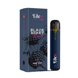 Eden Disposable Vape Pen – 2g (THC Distillate)