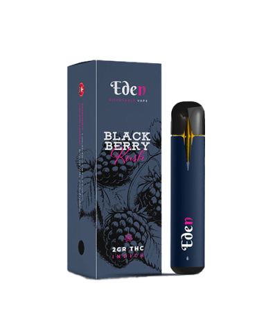 Eden Disposable Vape Pen – 2g (THC Distillate)