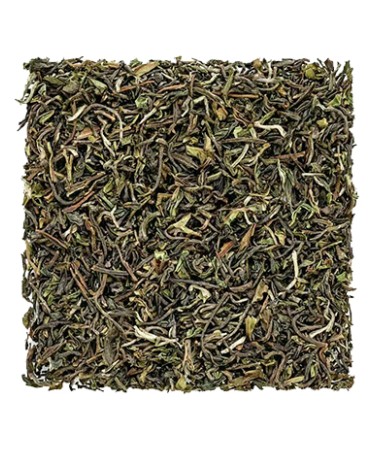 Margaret's Hope First Flush Darjeeling