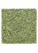 Matcha Iri Sencha