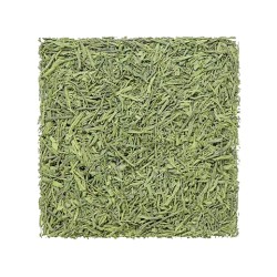 Matcha Iri Sencha