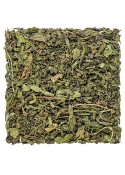 Moroccan Mint