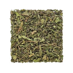 Moroccan Mint