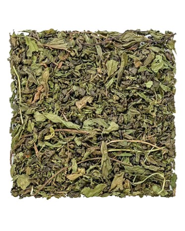 Moroccan Mint