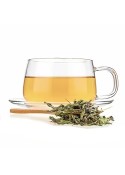 Moroccan Mint