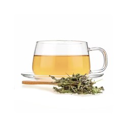 Moroccan Mint