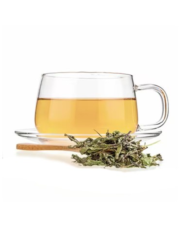 Moroccan Mint
