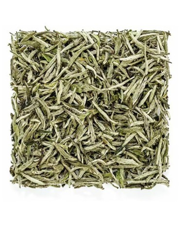 Bai Hao Yin Zhen Silver Needle