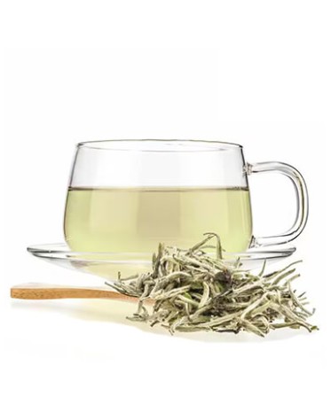 Bai Hao Yin Zhen Silver Needle