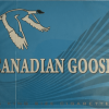 Canadian Goose Lights – King Size