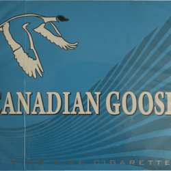 Canadian Goose Lights – King Size
