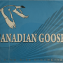Canadian Goose Lights – King Size