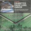 Canadian Menthol – King Size 