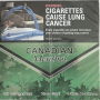 Canadian Menthol – King Size 