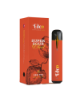 eden Disposable Vape Pen – 2g (THC Distillate)